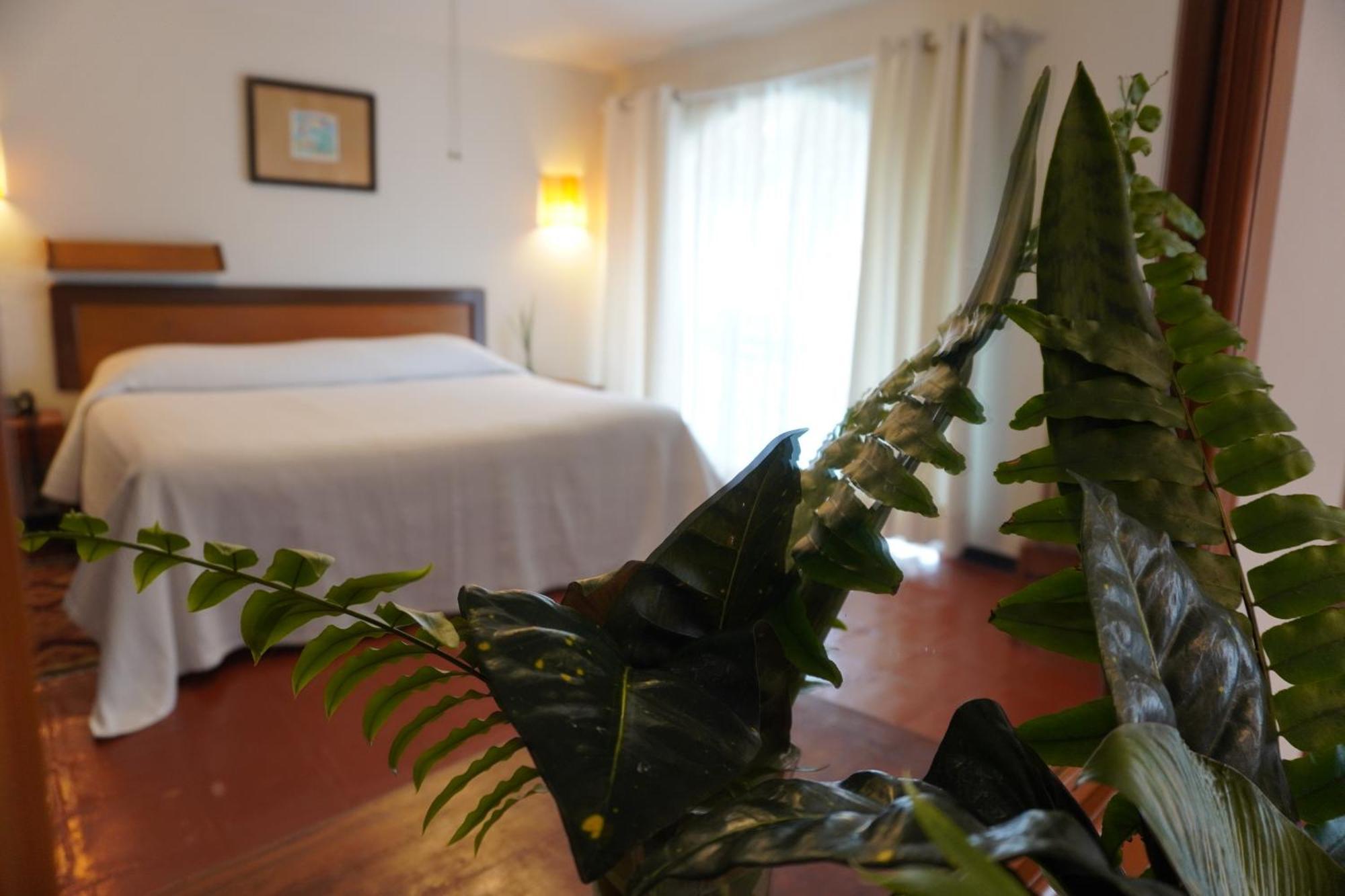 Hotel Ilebal Cuernavaca Centro - Lugar Con Encanto! Luaran gambar
