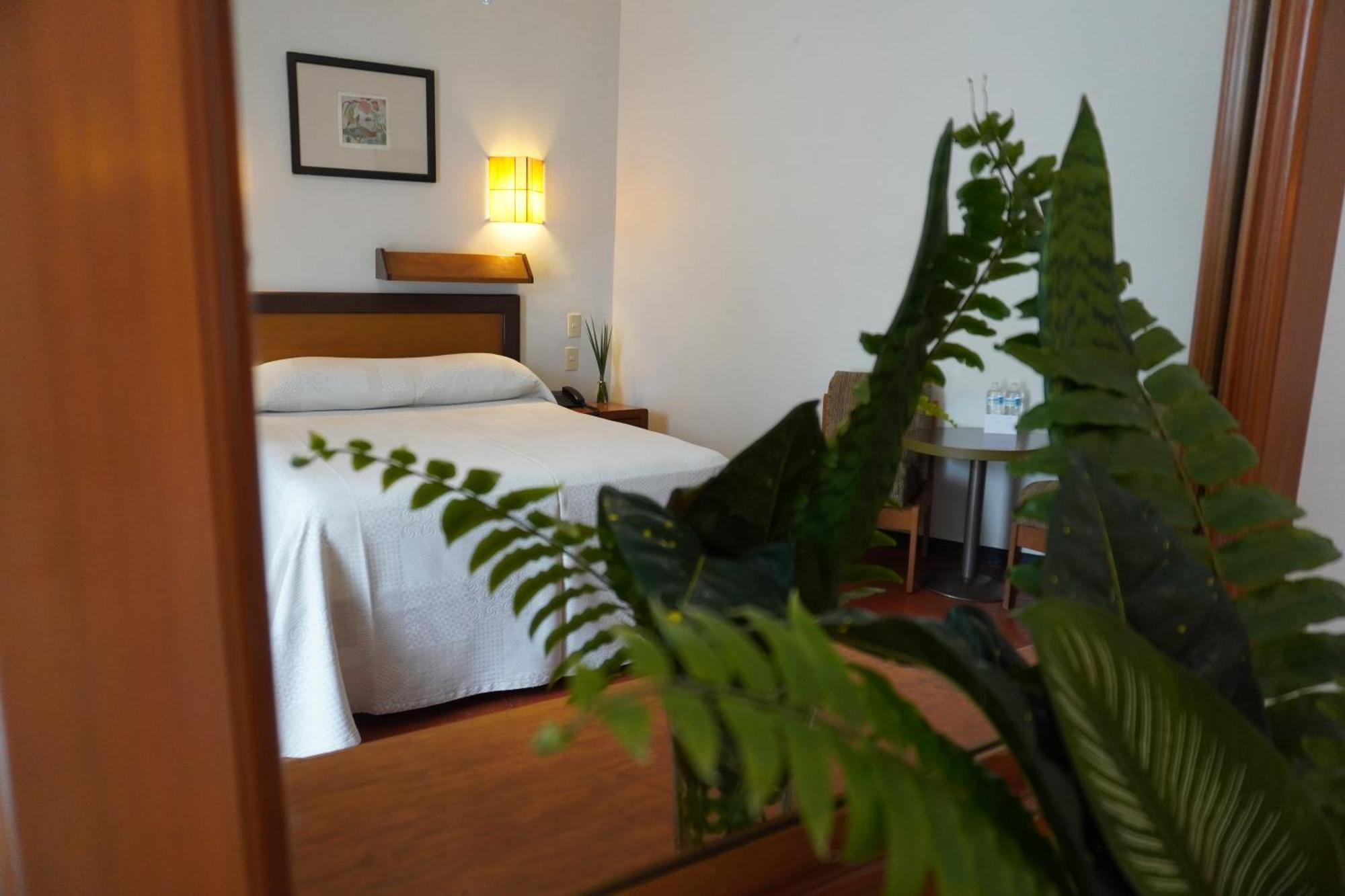Hotel Ilebal Cuernavaca Centro - Lugar Con Encanto! Luaran gambar