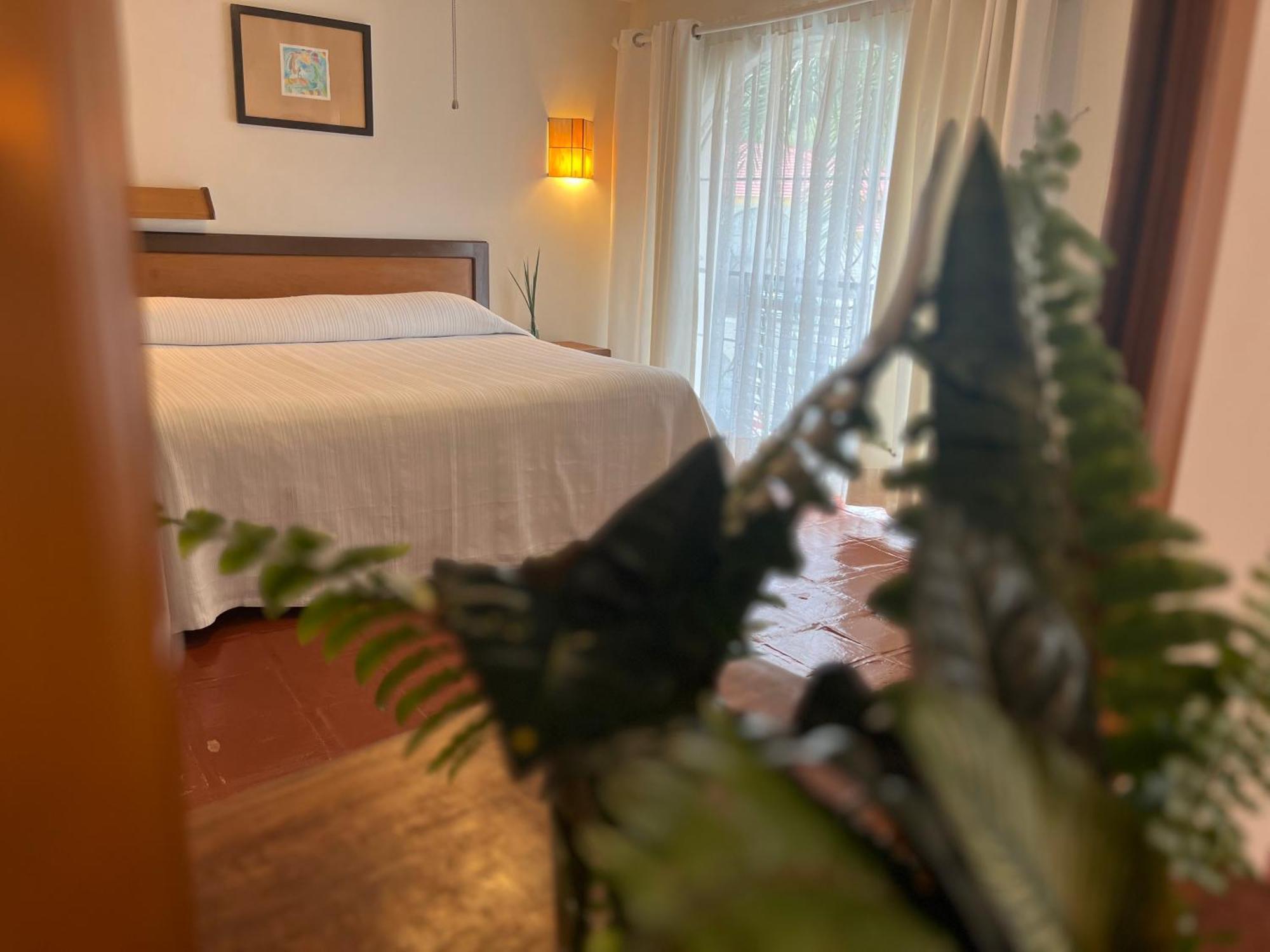 Hotel Ilebal Cuernavaca Centro - Lugar Con Encanto! Luaran gambar