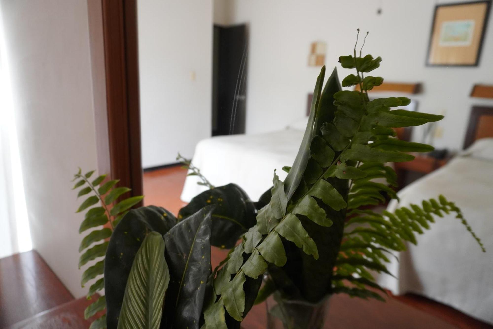 Hotel Ilebal Cuernavaca Centro - Lugar Con Encanto! Luaran gambar